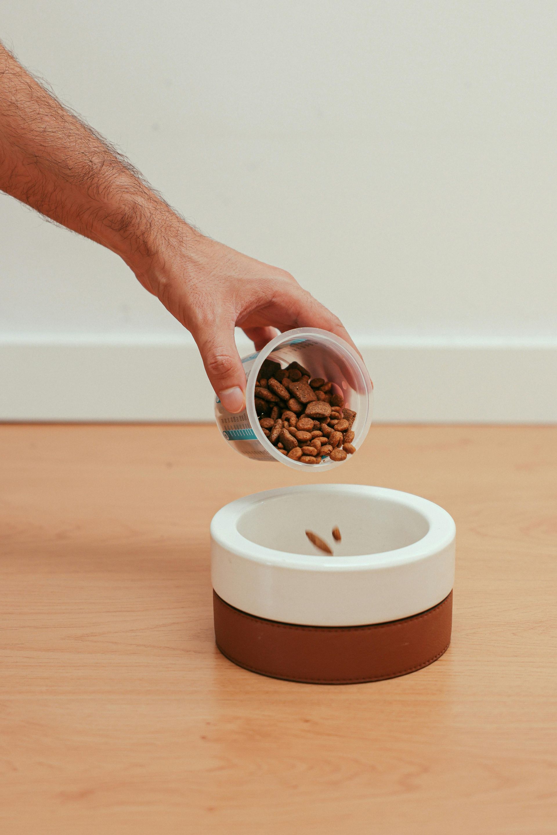 Verser à la main de la nourriture pour animaux dans un bol bicolore marron et blanc posé sur un sol en bois.