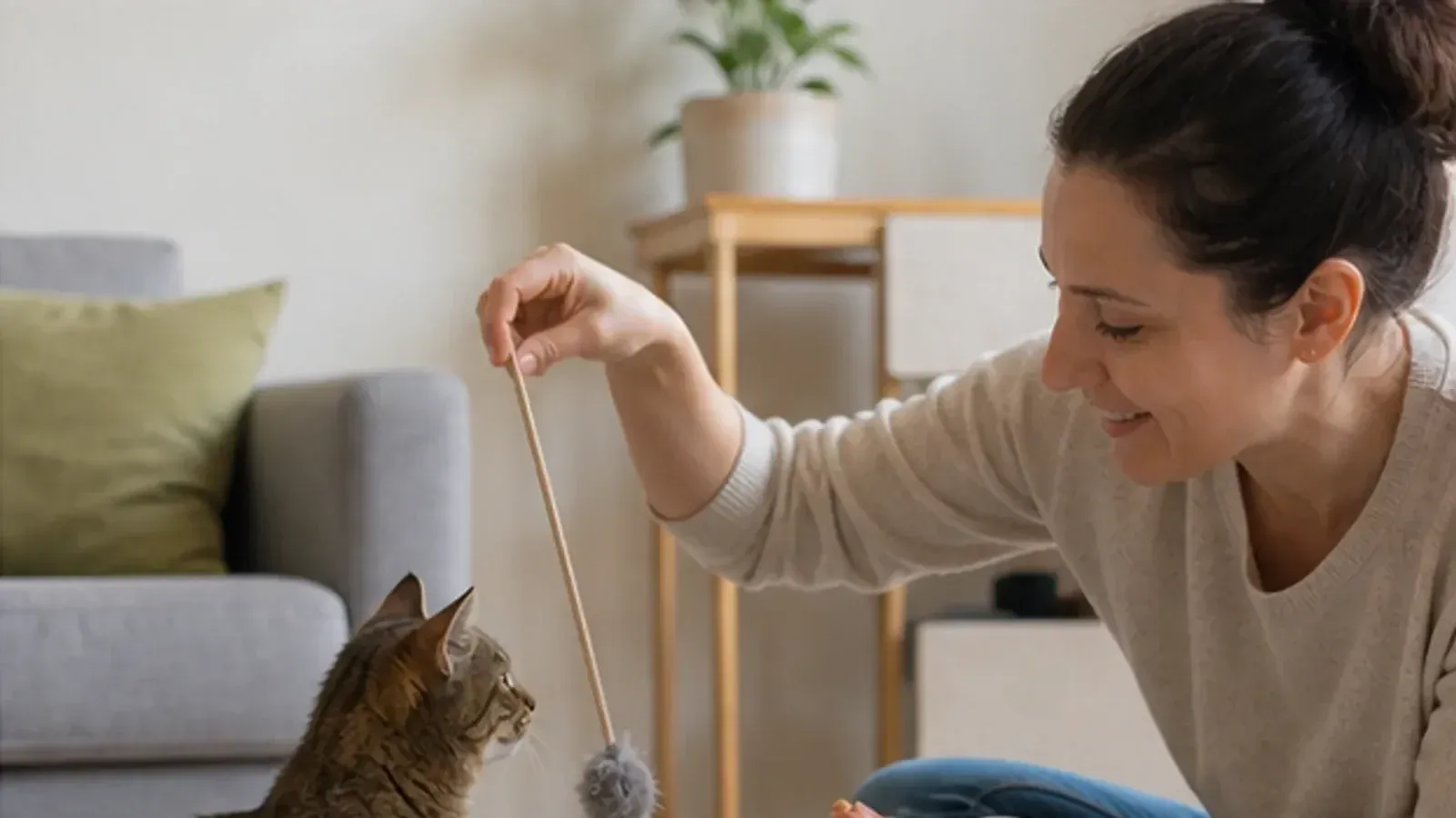 Pourquoi ne faut-il pas punir son chat ?