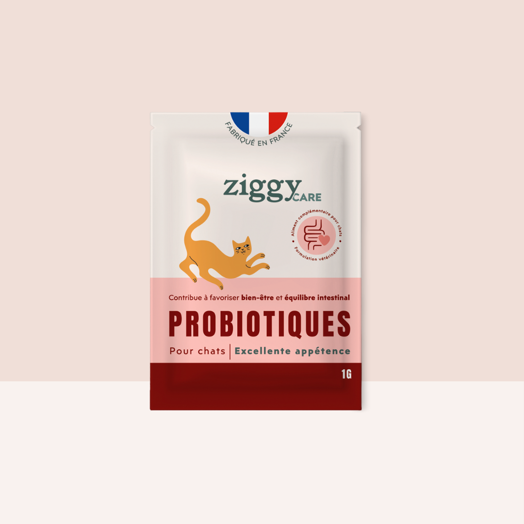 Probiotique pour chat 30 x 1 g - Ziggy