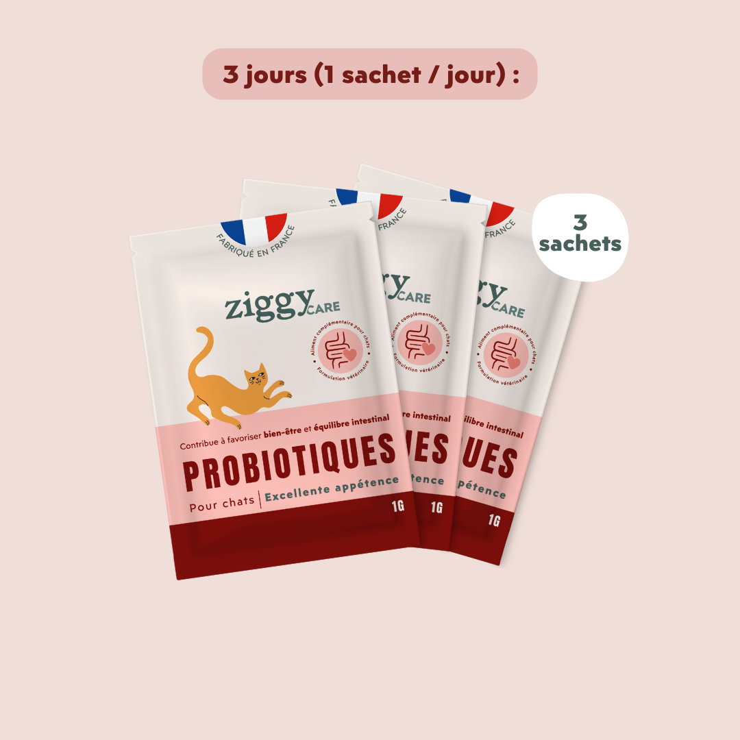 Probiotique pour chat 30 x 1 g - Ziggy