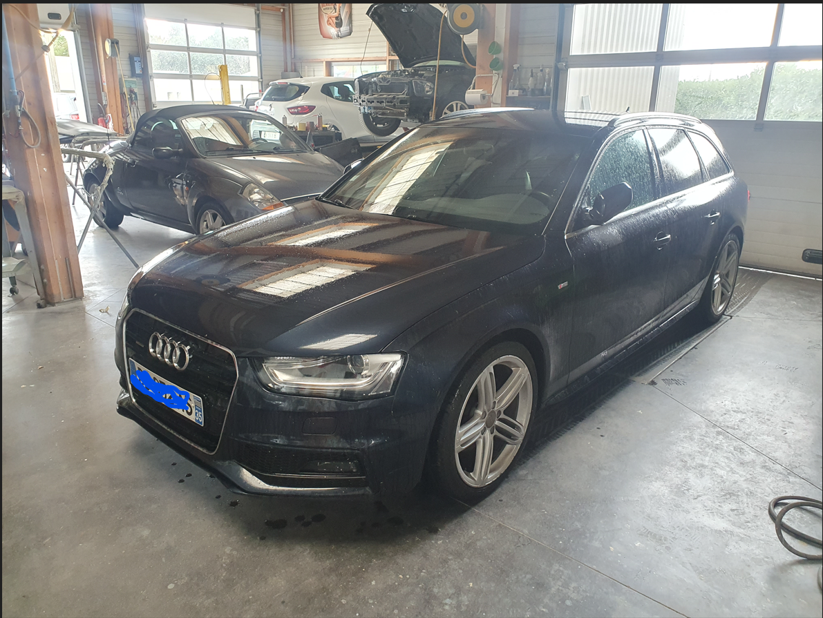 Peinture de l'audit Noir