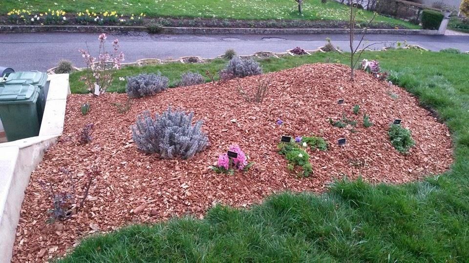 Pose de copeaux de bois - GINA ART