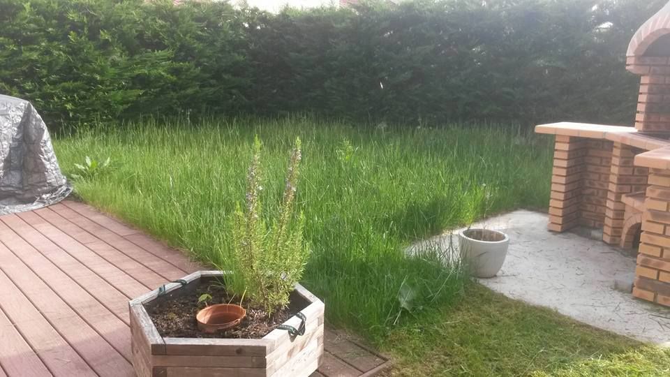 Jardin avant entretien - GINA ART