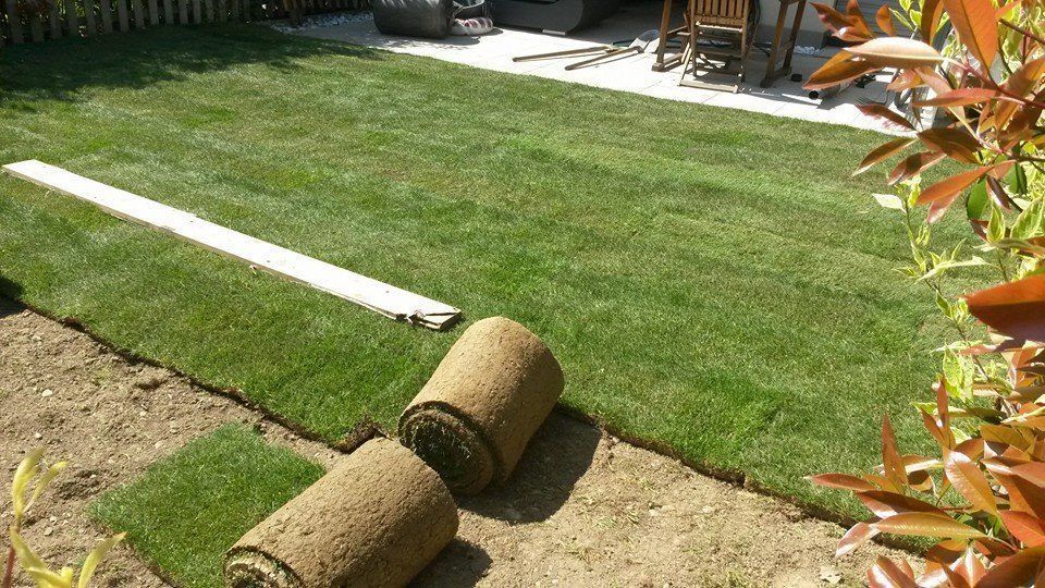 Pose de gazon de placage - GINA ART