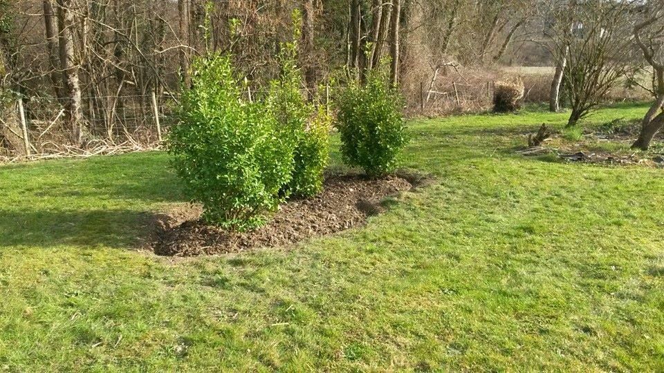 Entretien de massif - GINA ART