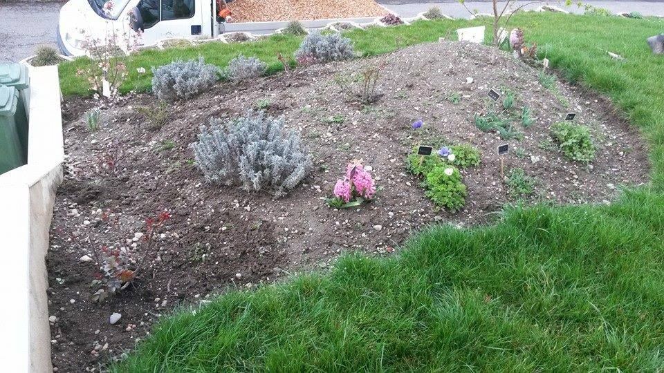 Entretien de massif de fleurs - GINA ART