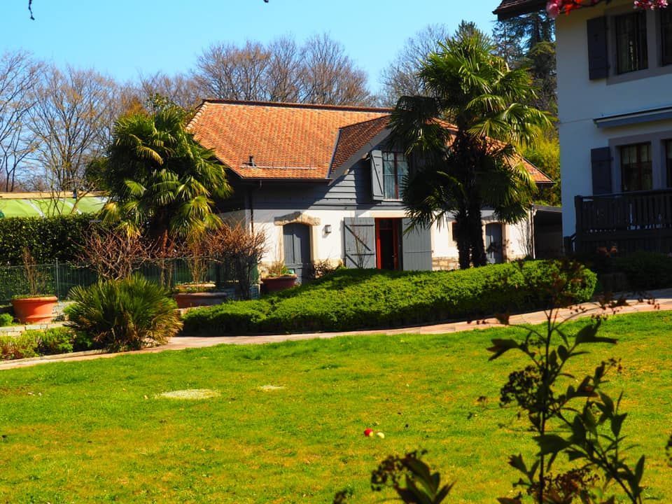 Entretien de jardin avant pose de nouveau gazon - GINA ART