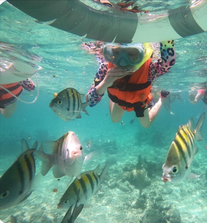 Person snorkeling in clear water surrounded by colorful fish; wearing mask, orange vest, and rash guard.