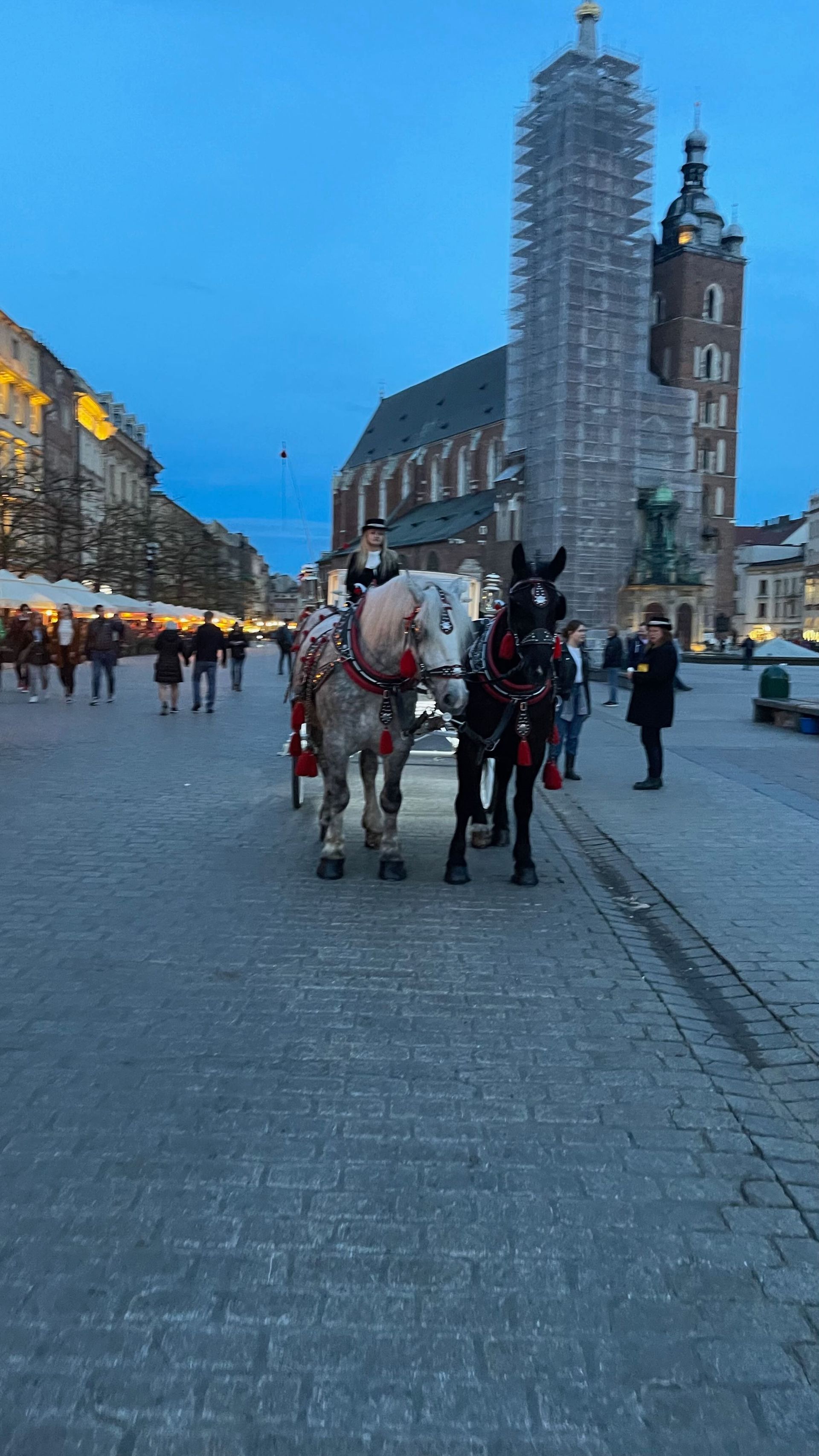 Two horses pulling a carriage on a cobblestone street near a church under scaffolding.