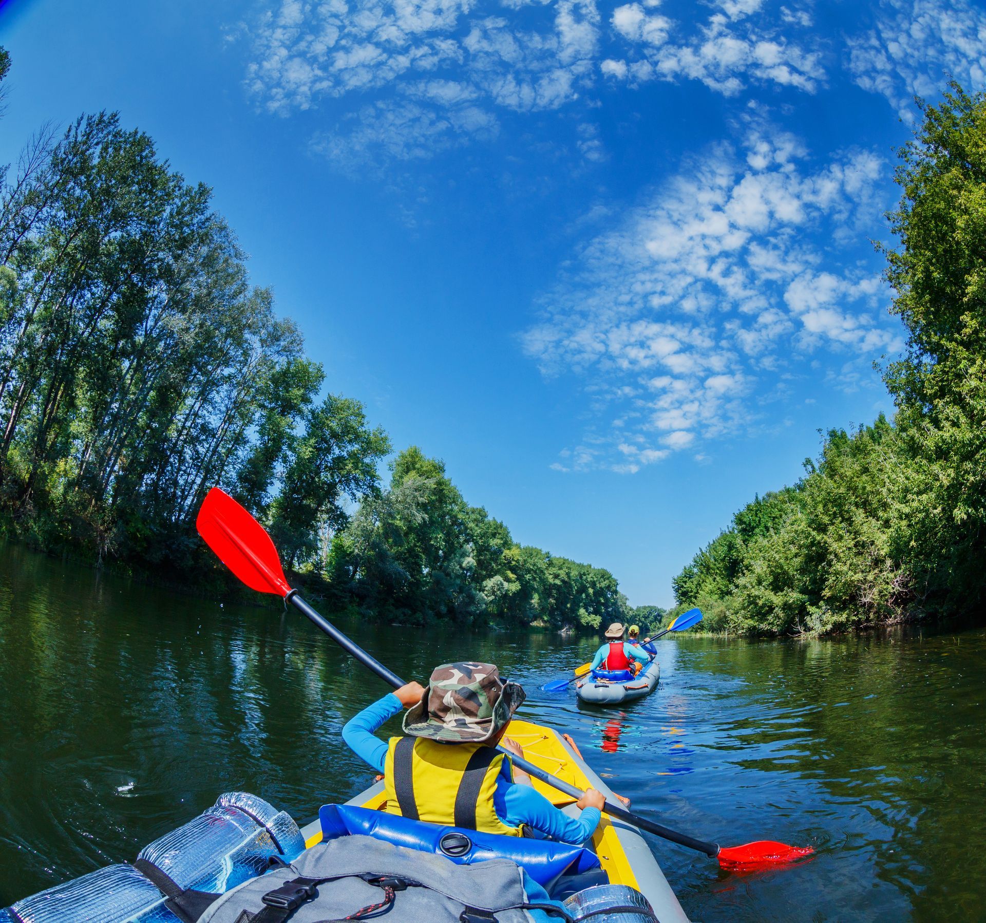 People kayaking on a river under a blue sky, surrounded by green trees.
