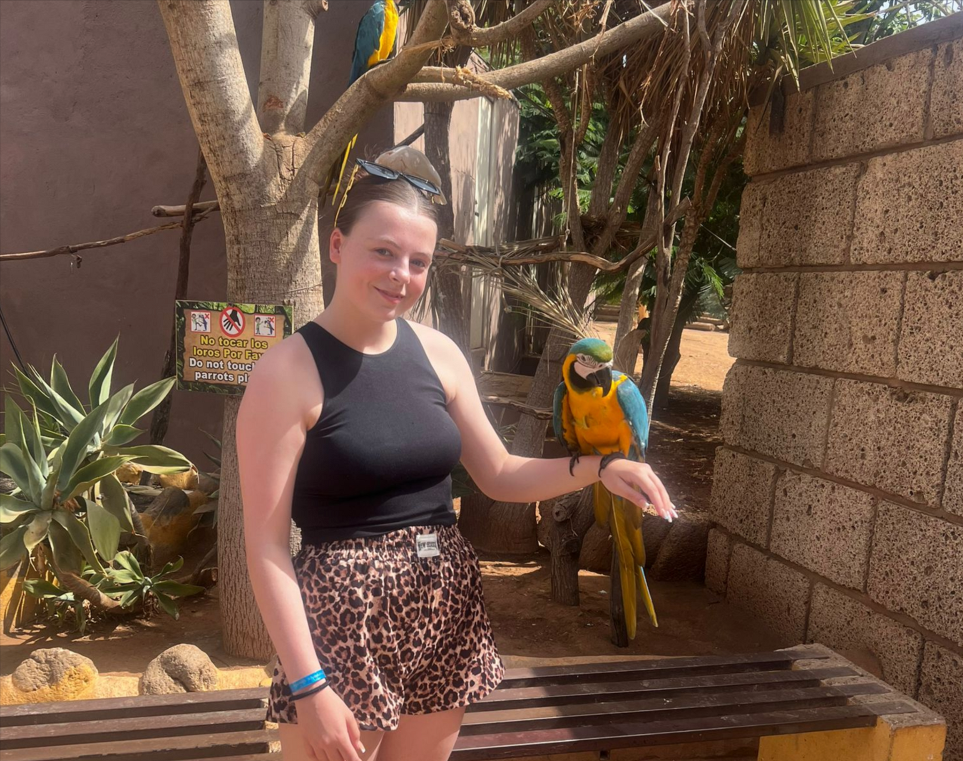 Woman with a parrot on her hand, outdoors. The bird is yellow and blue. She's in front of a brick wall and a tree.