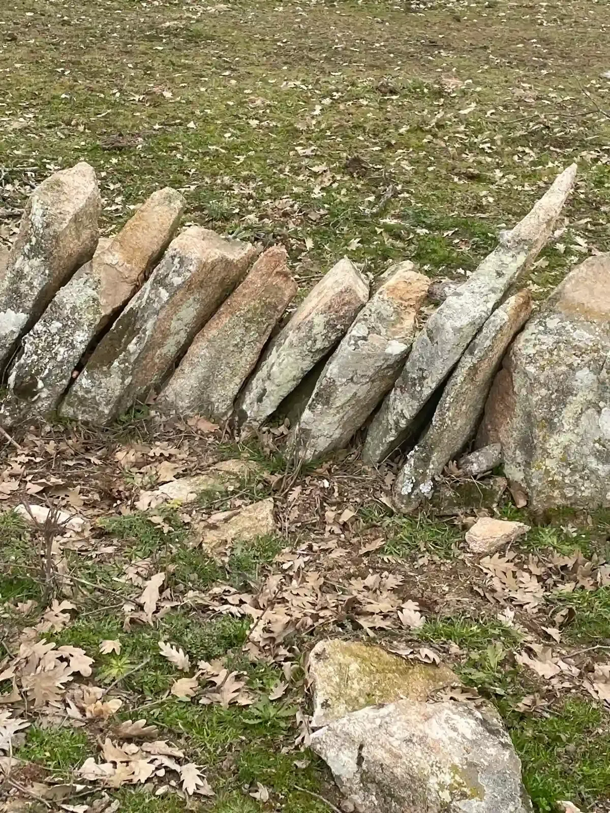 Hilera de mojones de piedra inclinados en una zona exterior cubierta de hierba y hojas.