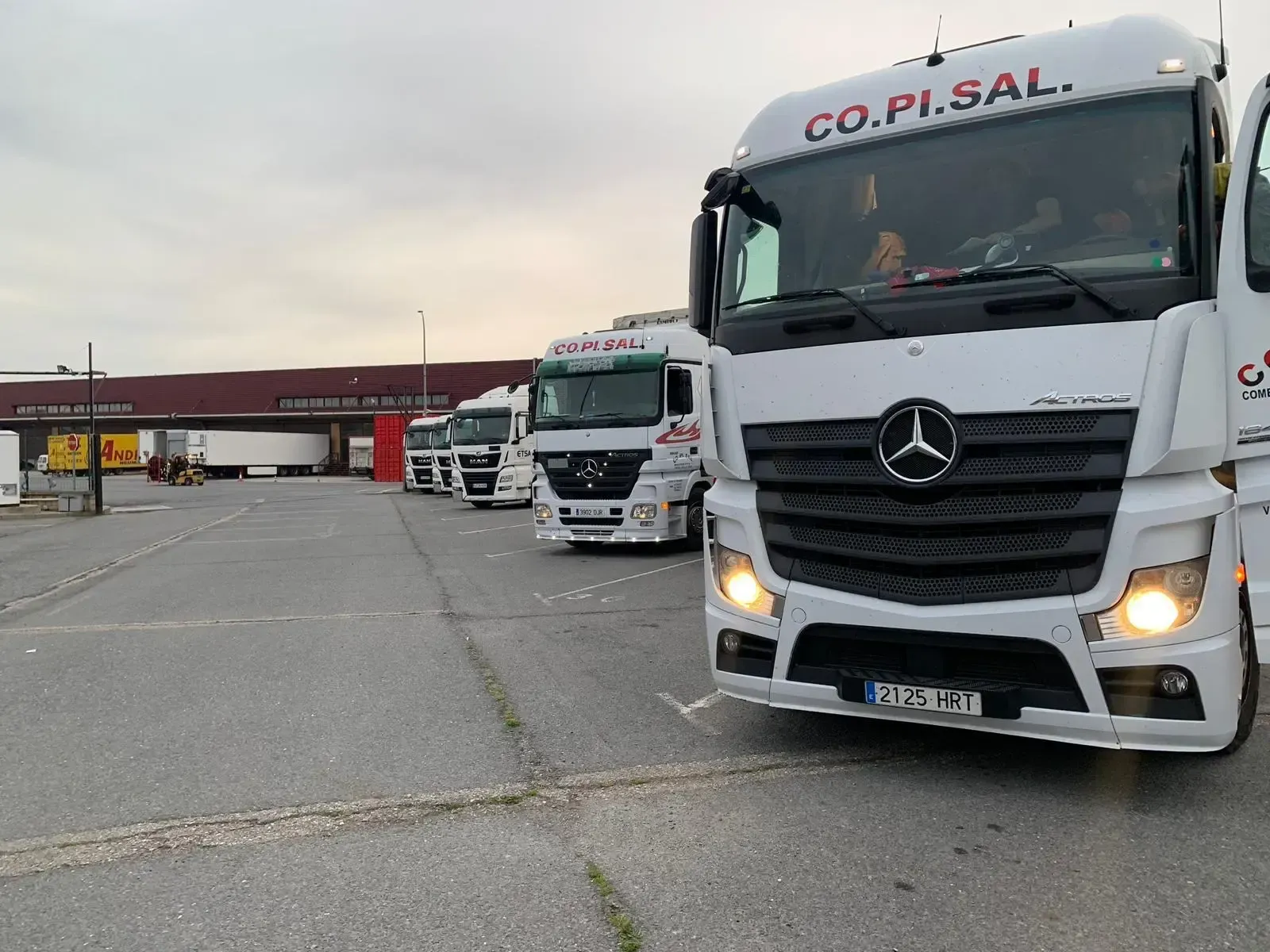 Una fila de camiones Mercedes blancos estacionados al borde de la carretera cerca de un almacén bajo un cielo nublado.