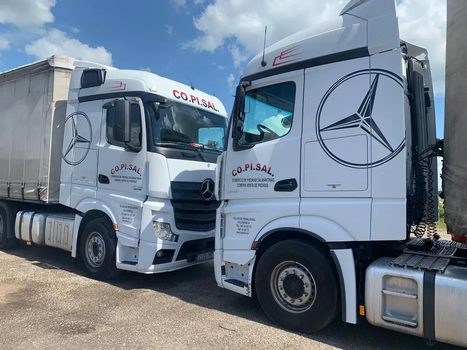 Dos camiones Mercedes blancos estacionados uno al lado del otro en una carretera soleada, uno de ellos con un gran logotipo de una estrella.