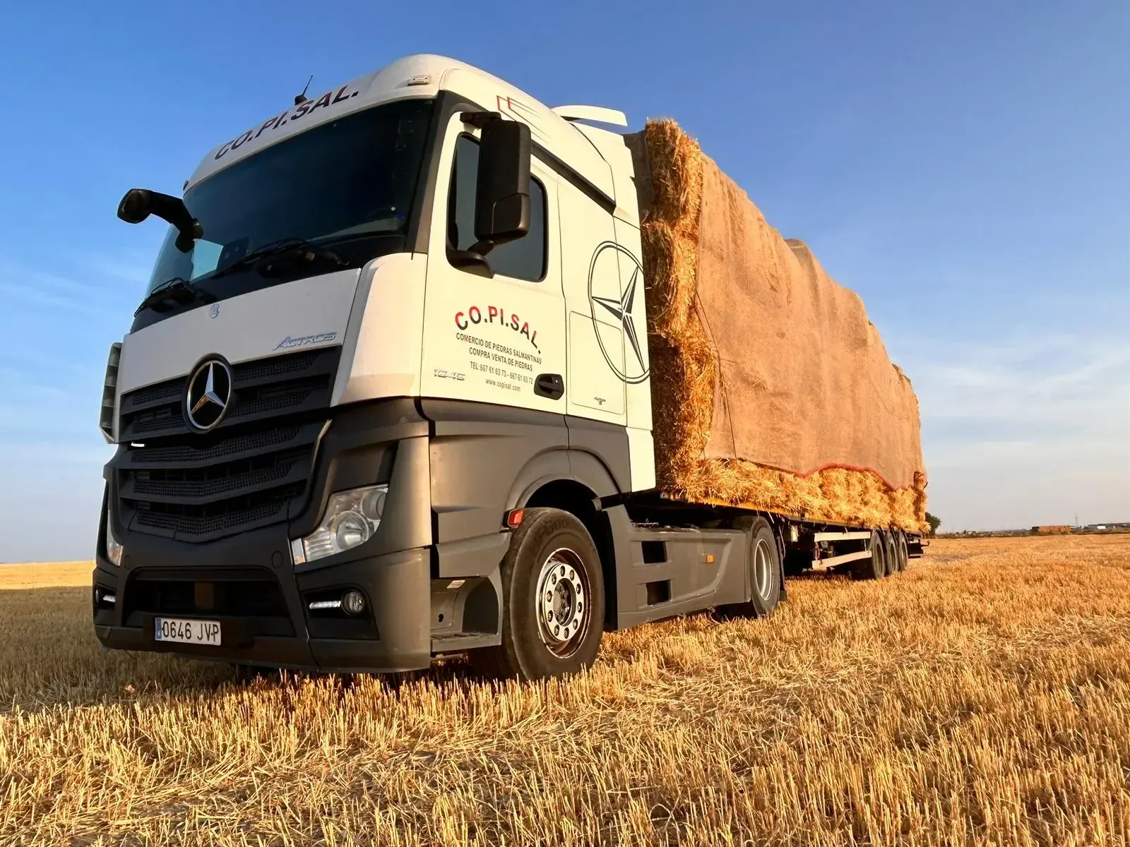 Camión Mercedes blanco transportando una gran carga de heno a través de un campo seco bajo un cielo azul despejado.