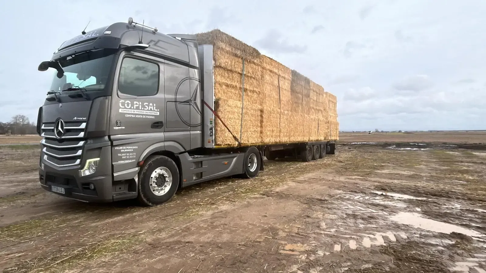 Un camión semirremolque gris cargado con cajas de madera apiladas, estacionado en un campo embarrado bajo un cielo nublado.