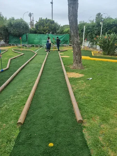 Un grupo de personas está jugando al minigolf en un parque.