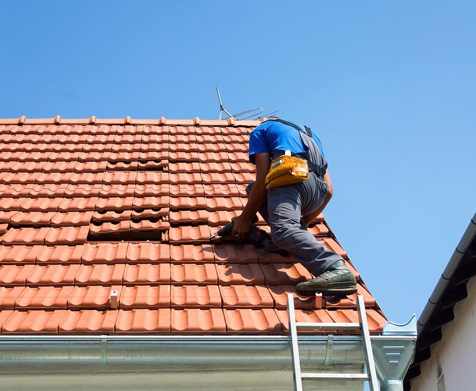 Artisan inspecte les tuiles d'un toit