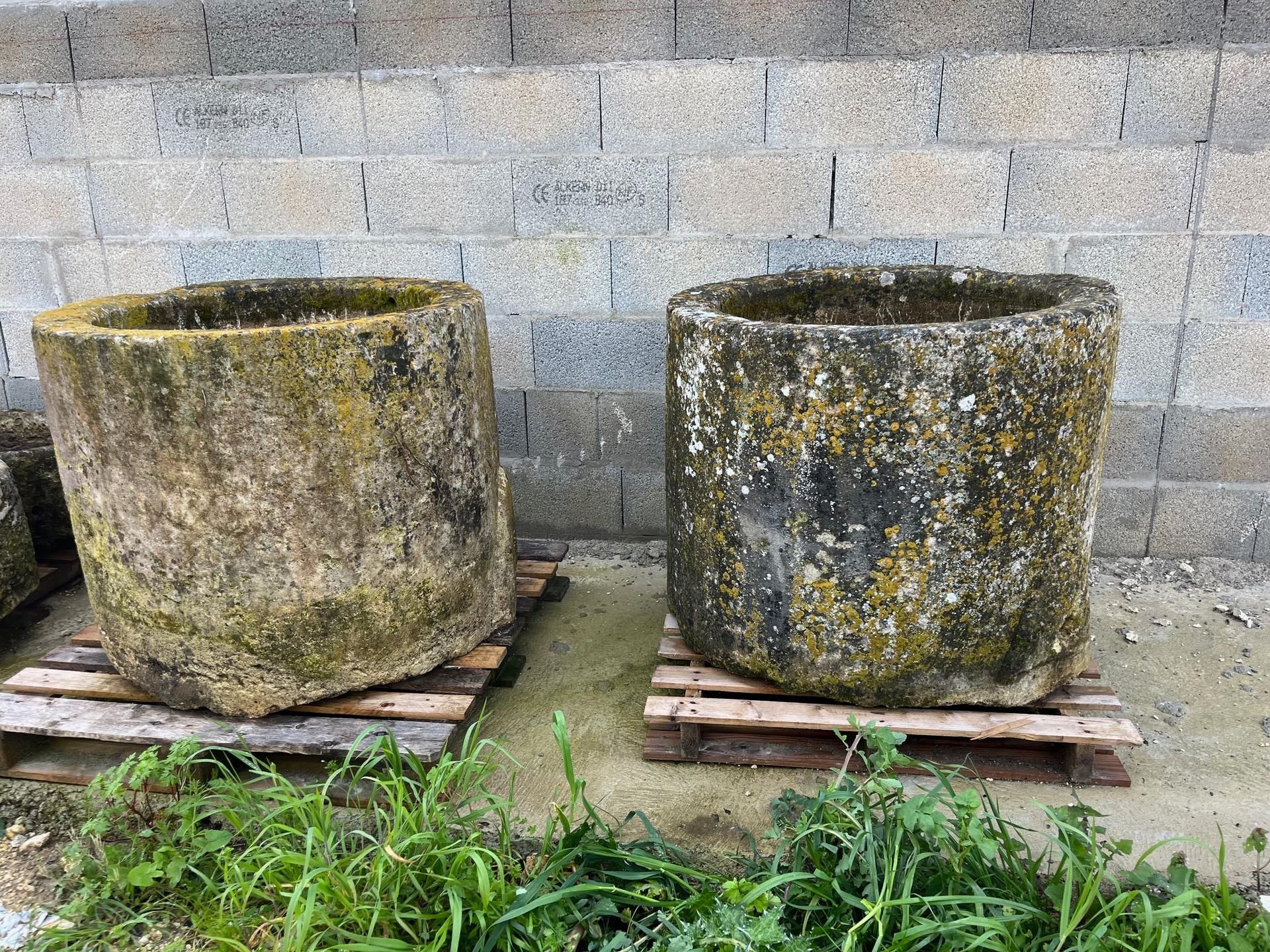 Deux jardinières en pierre patinée, posées sur des palettes en bois, sont adossées à un mur en parpaings, avec de l'herbe devant.