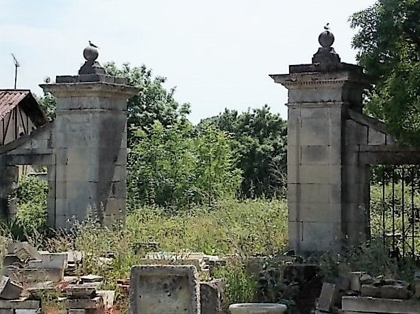 De vieux piliers de portail en pierre envahis par les mauvaises herbes, avec une clôture en fer et des arbres en arrière-plan.
