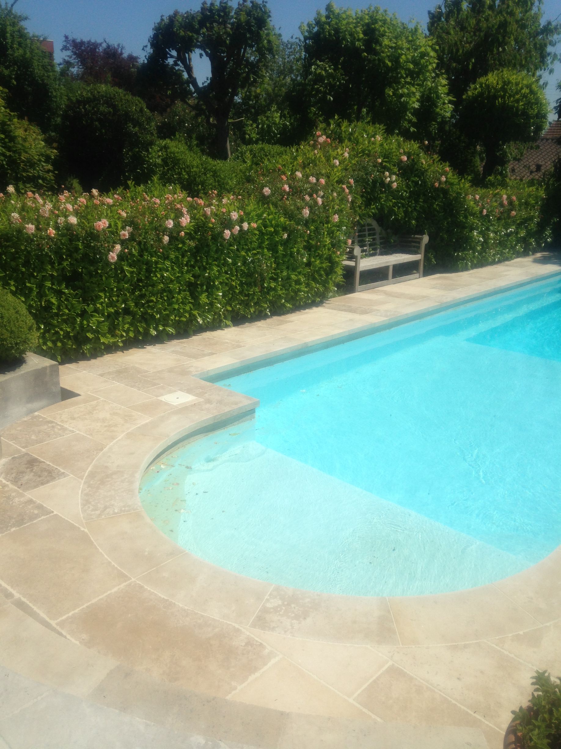 Piscine dans le jardin avec une eau bleu clair, terrasse en pierre beige et haies vertes fleuries à proximité