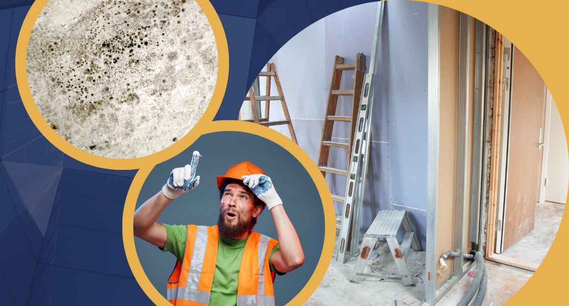 Willi Zitzmann Service GmbH & Co. KG