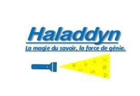 Logo de l'entreprise Haladdyn.