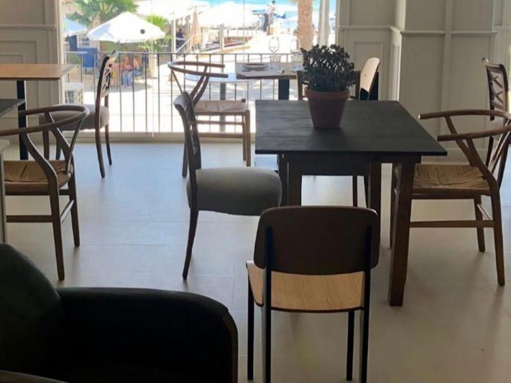 Un comedor con mesas y sillas y una planta en maceta sobre la mesa.
