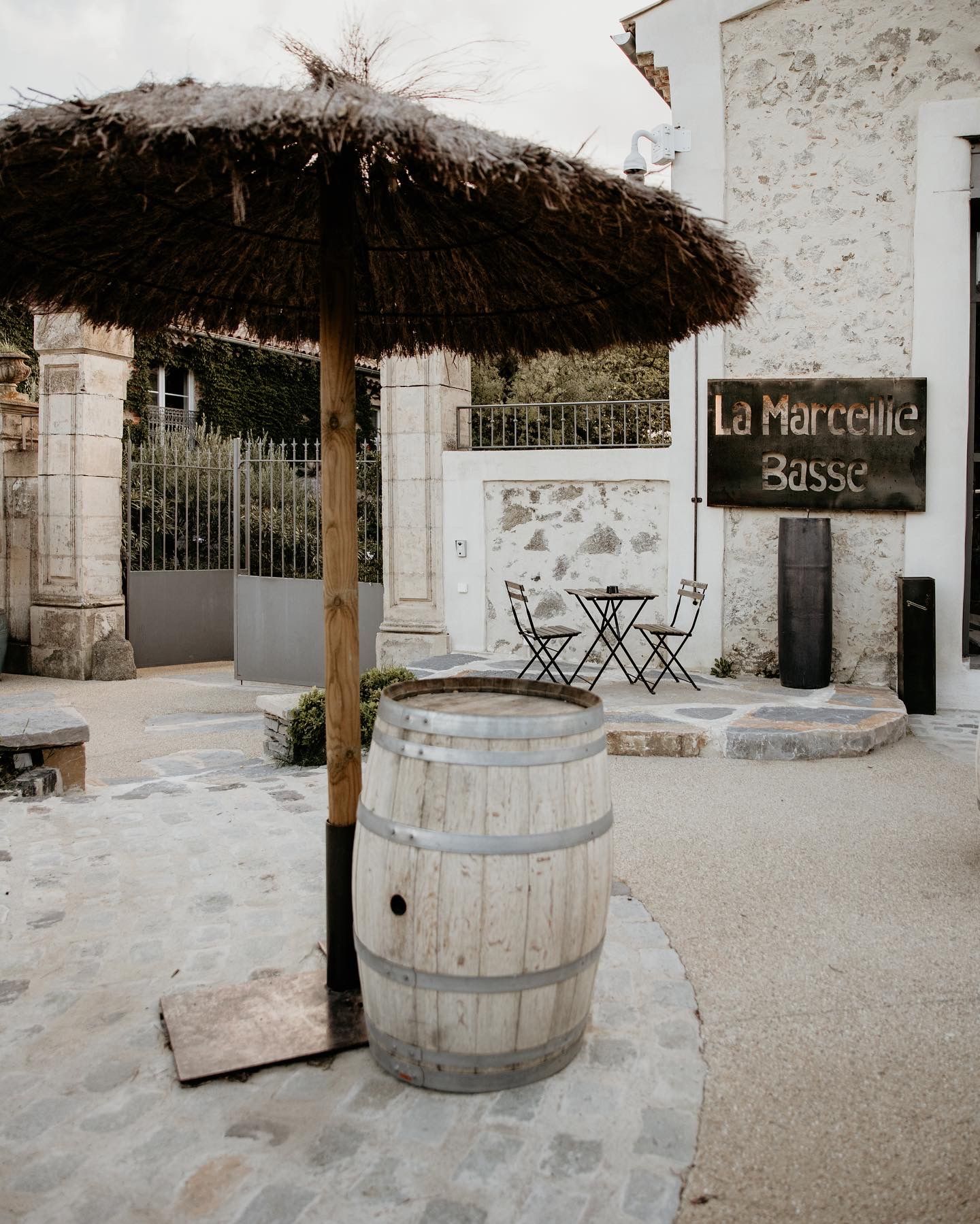 Paysage extérieur avec des vignes