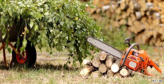 Tronçonneuse sur un tas de bois et à côté d'une brouette pleine de feuillage