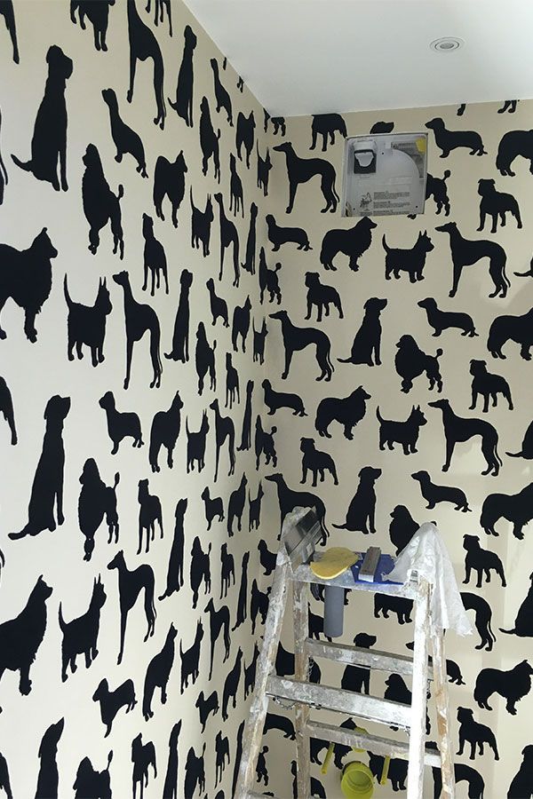 Tapeten von Anjo GmbH