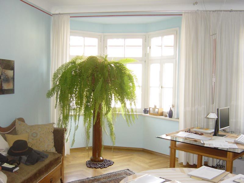 Wandgestaltung Malerei