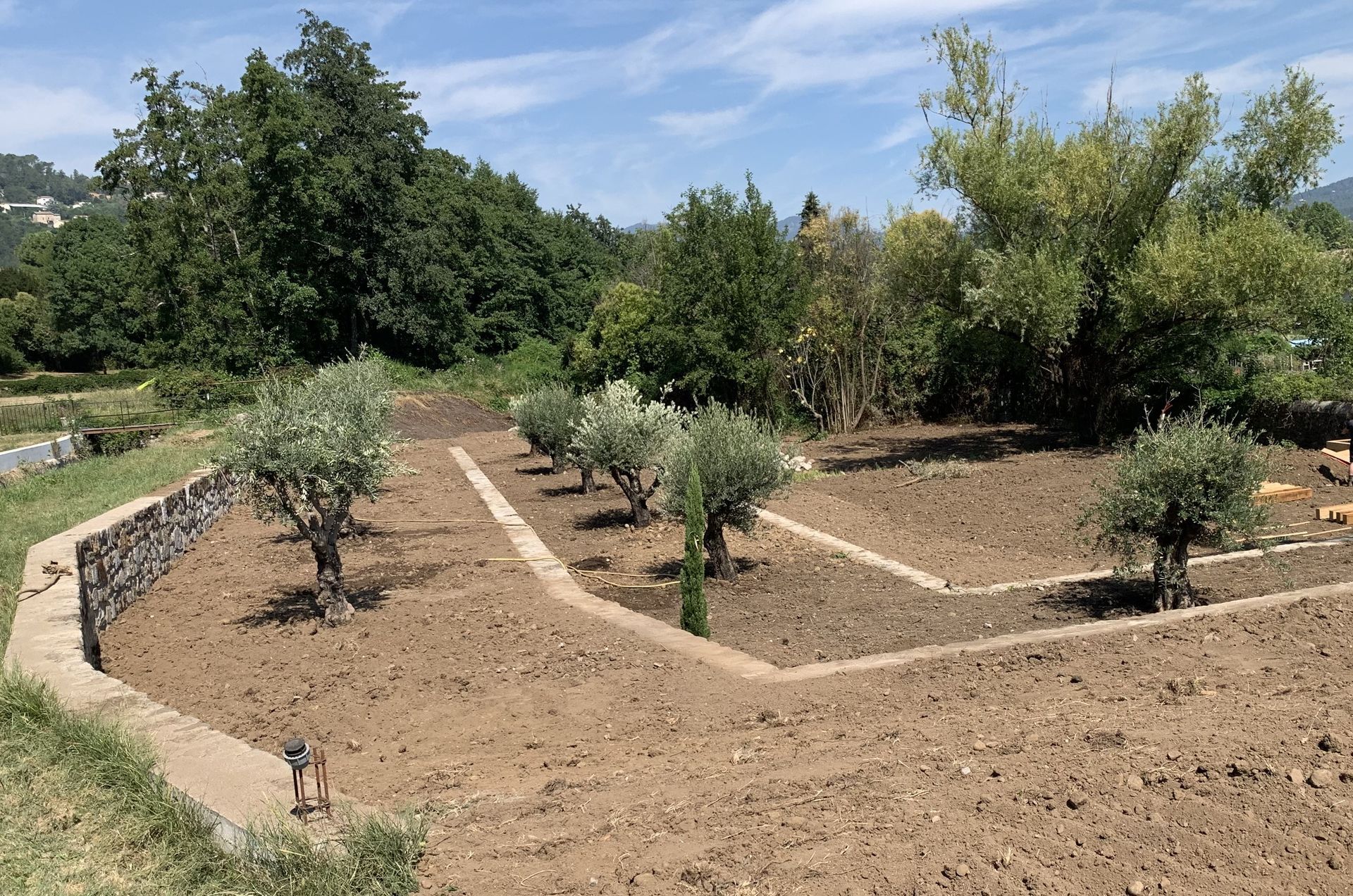 Terrain à plusieurs étages avec petits arbustes