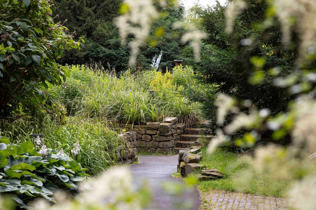 Ein Weg in einem Garten, umgeben von Bäumen und Blumen.