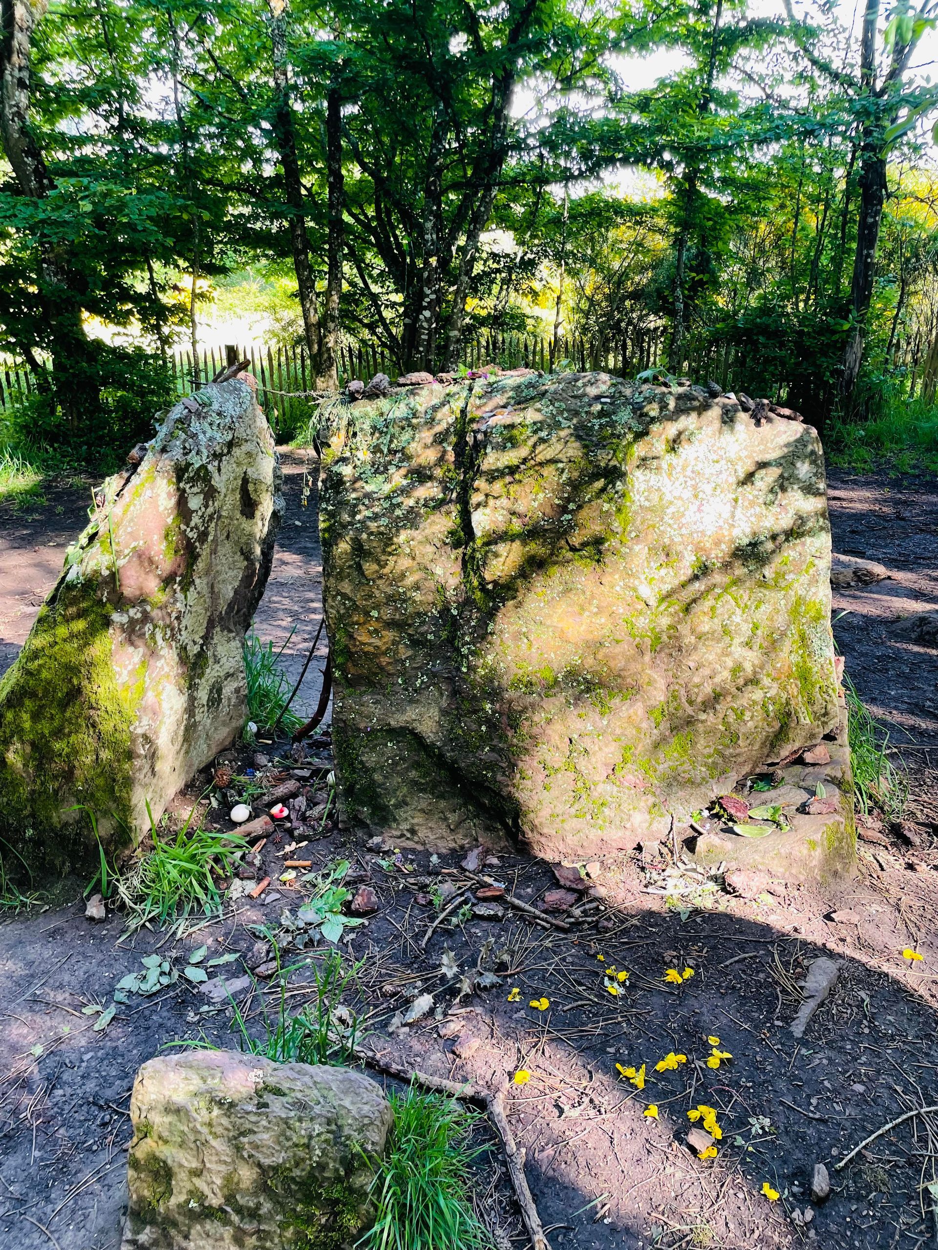 Photo d'un site naturel en Bretagne - La légende de Merlin - Photo de Mme Brassart, voyante à Lille