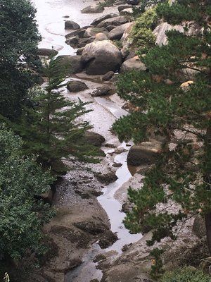 Petite rivière en Bretagne - Inspiration d'Hélène Brassart, voyante - Méditation