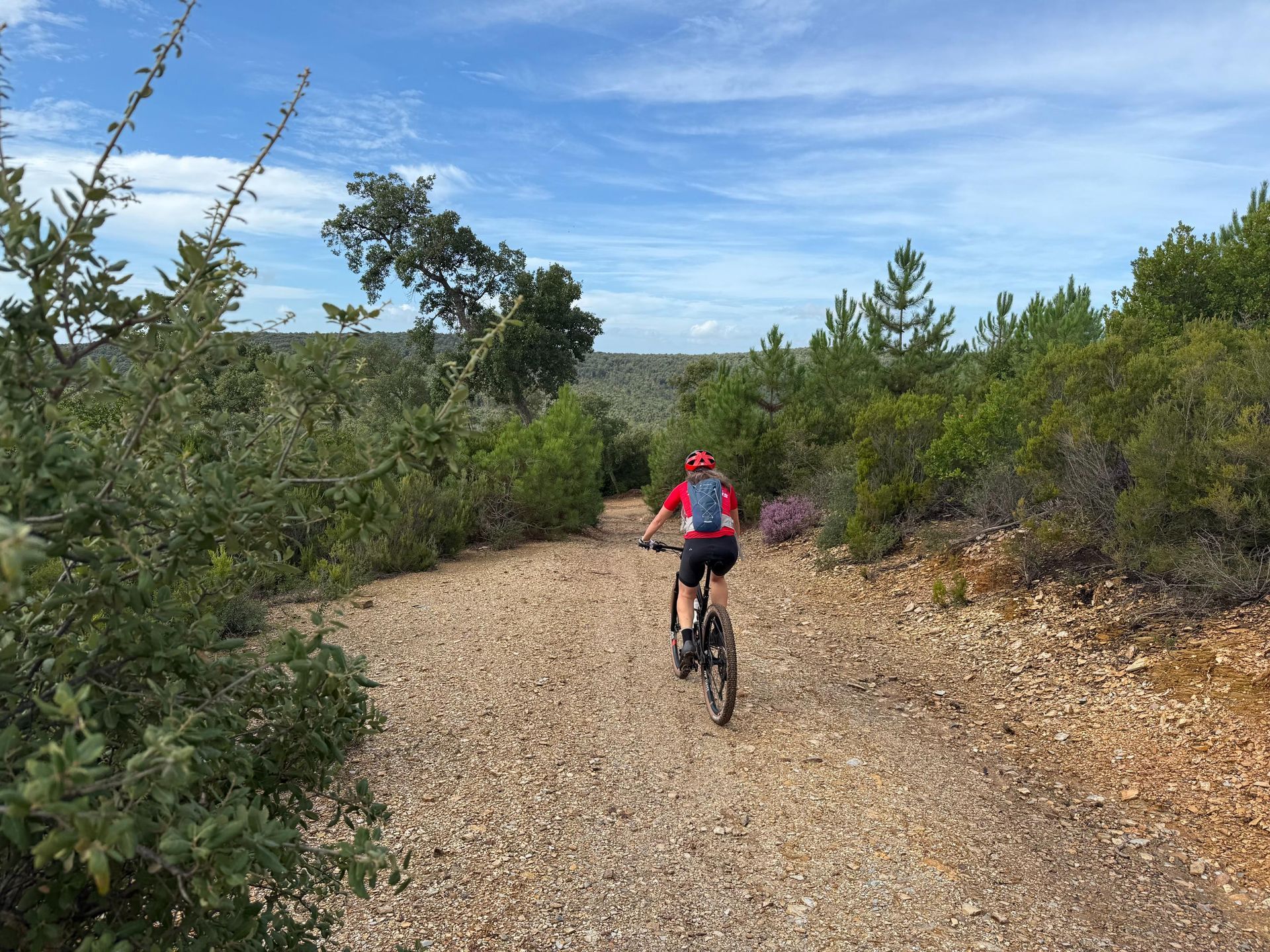 Mann fährt Mountainbike im Wald
