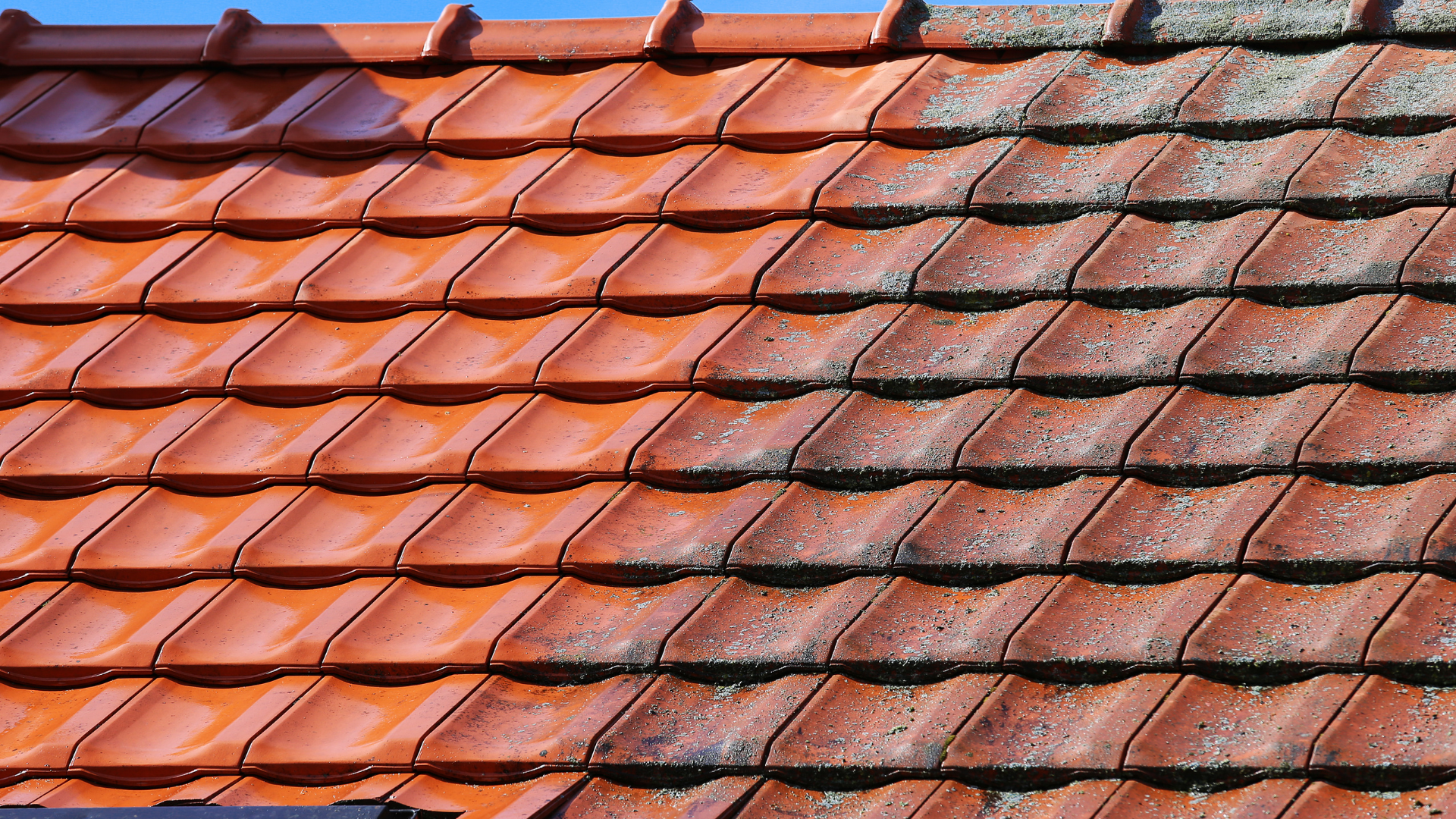 Tuiles rouges, nettoyées à gauche, recouvertes d'algues à droite.