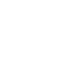 Icon Physiotherapie-Expertise