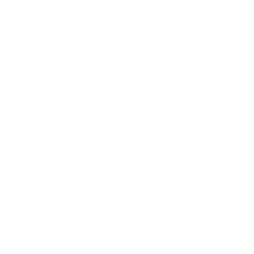 Icon Physiotherapie-Expertise 