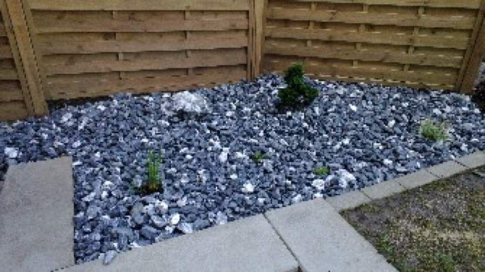 Garten, der von der Brühlmann Liegenschaftenbetreuungen GmbH gepflegt wird