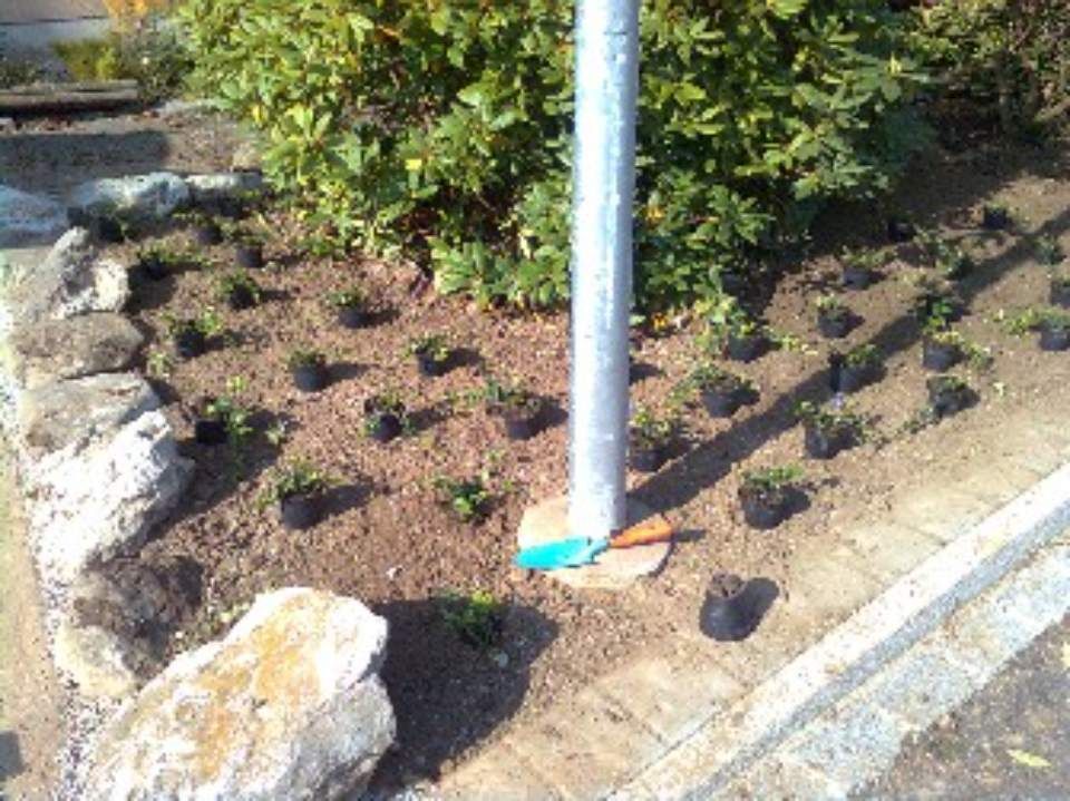 Garten, der von der Brühlmann Liegenschaftenbetreuungen GmbH gepflegt wird