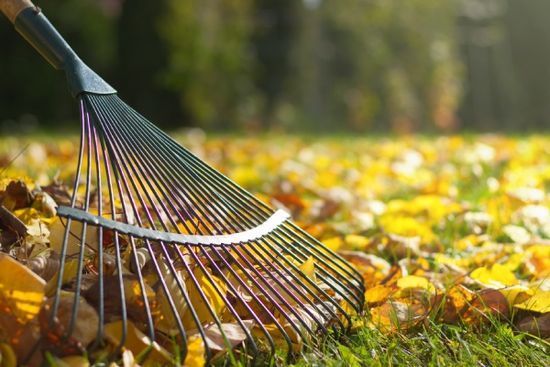 Laubrechen im Einsatz