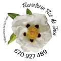 logotipo cabecera