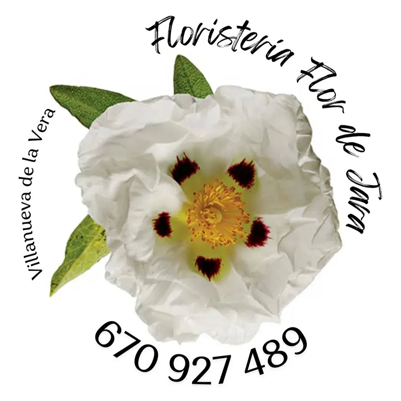 logotipo cabecera