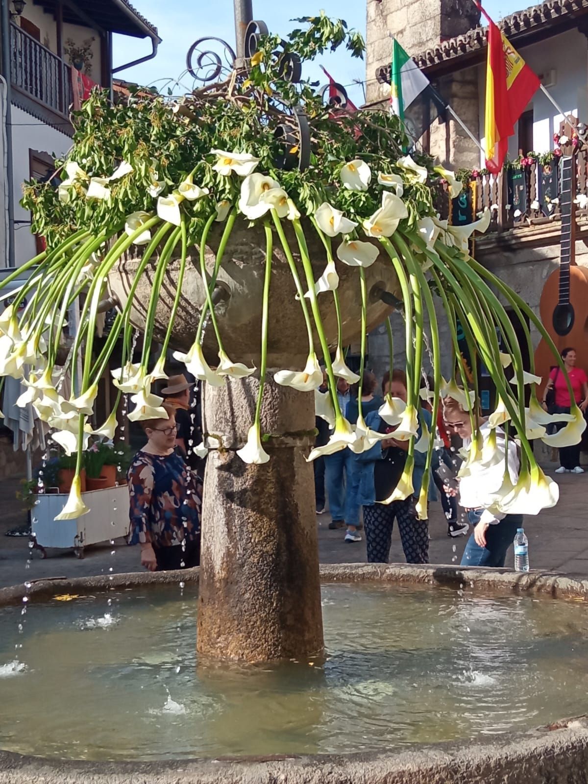 Una fuente con flores colgando y una guitarra al fondo.