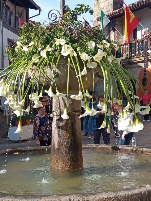 Una fuente con flores colgando y una guitarra al fondo.