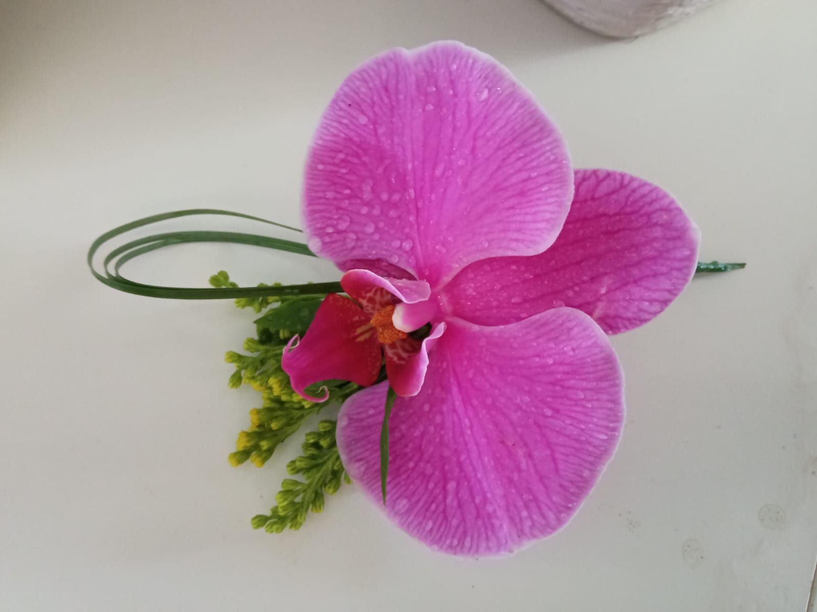 Un primer plano de una flor rosa sobre una superficie blanca.