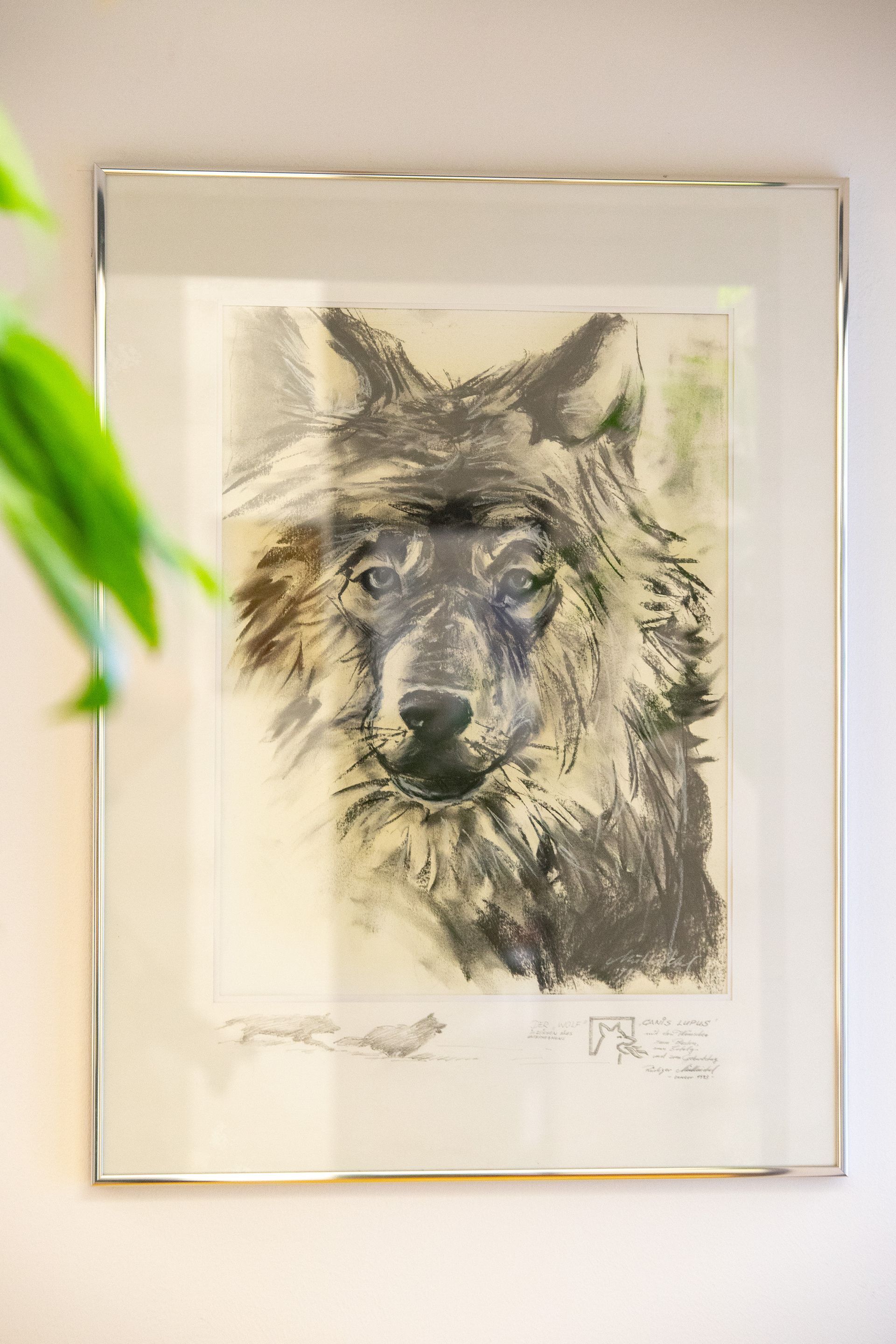 An einer Wand hängt ein Gemälde eines Wolfes.
