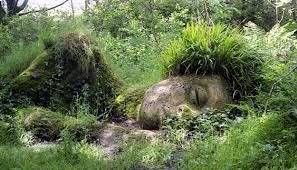 Une tête de pierre à l'allure humaine, recouverte de mousse, repose sur le sol herbeux de la forêt, comme si elle faisait partie intégrante du paysage.